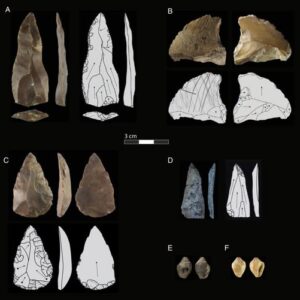 The Ancient Discovery That Could Rewrite What We Know About Human Evolution