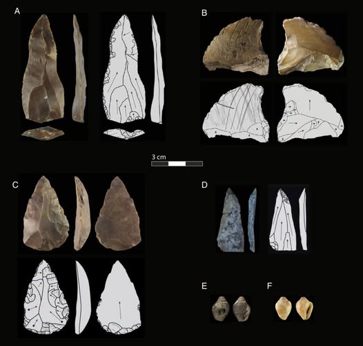 The Ancient Discovery That Could Rewrite What We Know About Human Evolution