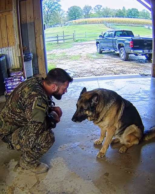 The Heartwarming Veteran Story Everyone Is Talking About—And the Friday Night That Changed Everything