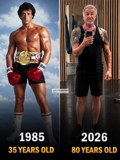 Sylvester Stallone at 80: The Rocky Legend Who Refuses to Slow Down