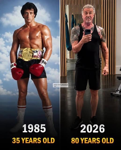 Sylvester Stallone at 80: The Rocky Legend Who Refuses to Slow Down